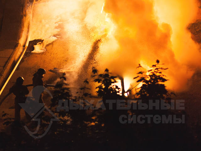 В пасти дракона