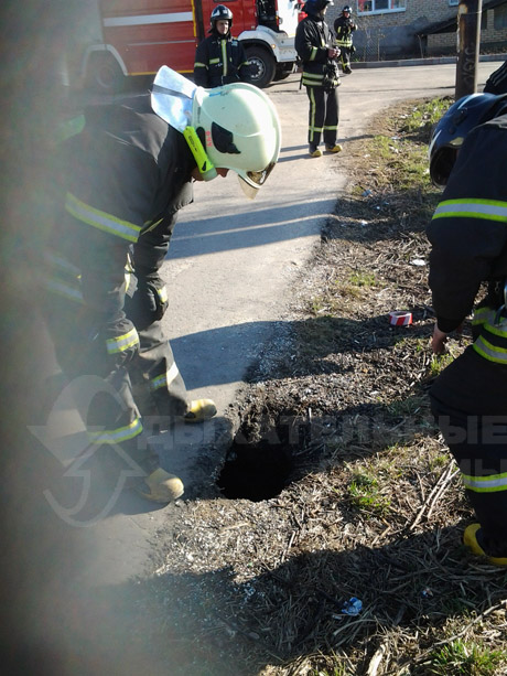 Пришел, увидел, победил