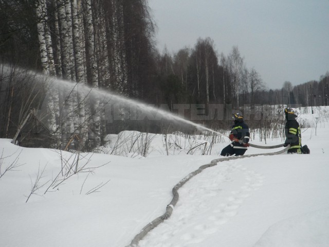 И смех и грех.