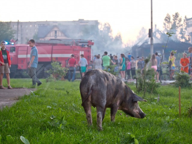 Счастливая спасённая