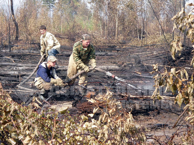 Шатура 2010