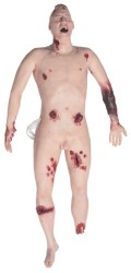 ZR simulator